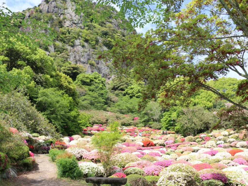 御船山楽園のつつじ