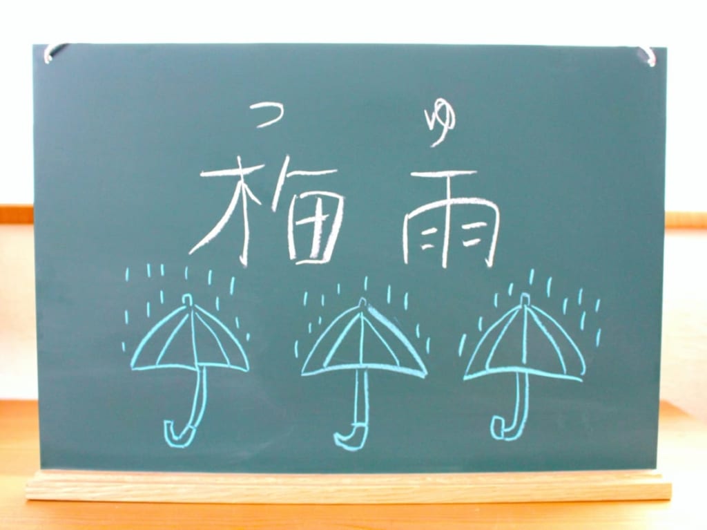 梅雨のお知らせ