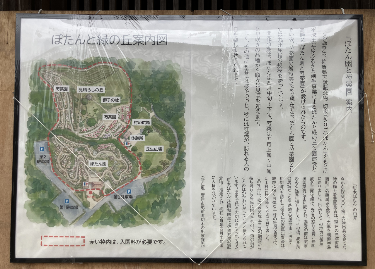 ぼたんと緑の丘