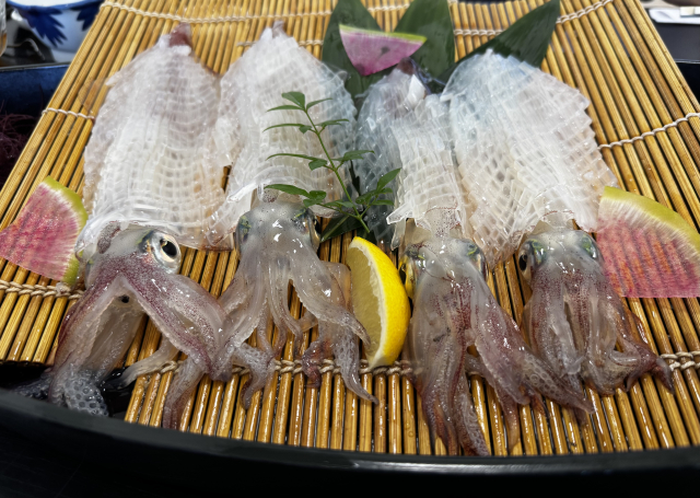 呼子いか